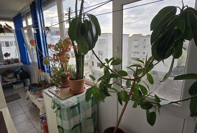 Apartament cu 2 camere decomandat în Central - 7