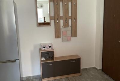 Apartament 2 camere de inchiriat in Manastur str Campului - 10