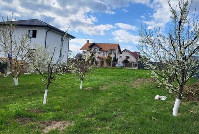 Teren de 900 mp, în Moara - 8