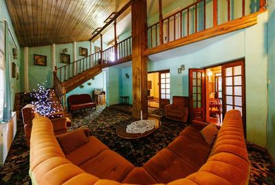 Locul în care ai vrea să fii acasă – Elisabetin - 6