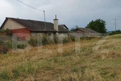 Teren de 6000 mp, în Turda - 2