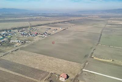 Teren Extravilan, P.U.Z. inceput - 10