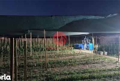 Casă cu 2 camere cu Teren 1711 Mp în Topraisar - 2