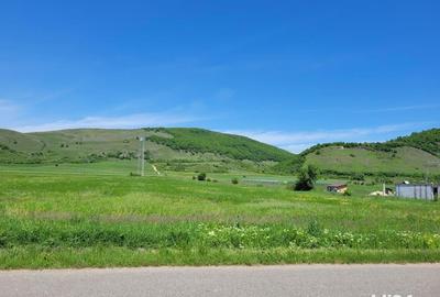 Teren de 5956 mp, în Chimindia - 2