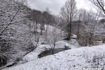 Casa de vacanta, cu lac, 5640 mp teren, Huta, com. Chiuiesti, jud. Cluj - 50