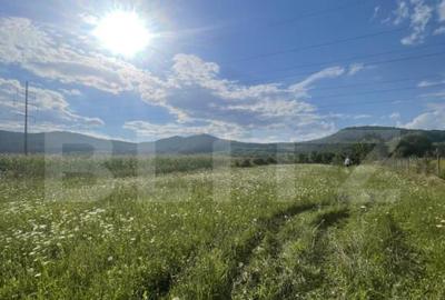 Teren intravilan Vii?oara ideal pentru casa sau invest - 2