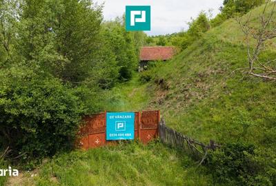 Casă cu 2 camere cu Teren 24494 Mp în Traian Vuia - 2