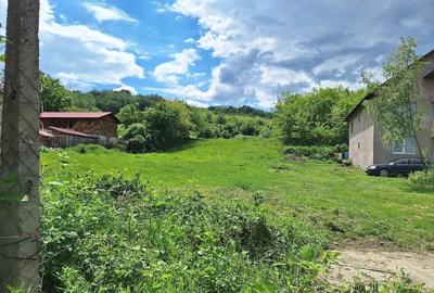 Teren de 4913 mp, în Ionești - 2