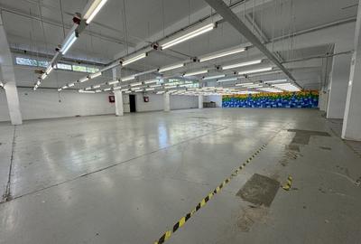 Hala productie P+1 si apartament de serviciu Navodari - c-tie beton - 5