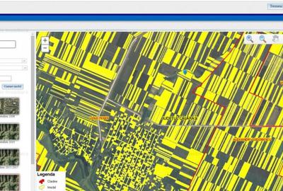 12 Ha Teren Agricol Vlad Tepes CL - 6