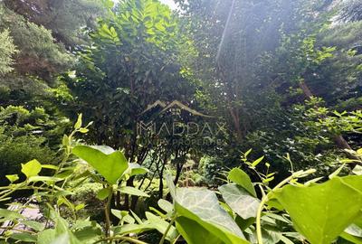 Apartament cu 5 camere decomandat, mobilat în Herăstrău - 41