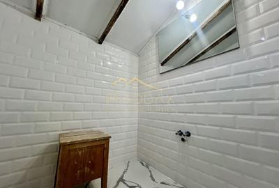 Casa **8 camere** // Domenii - 43