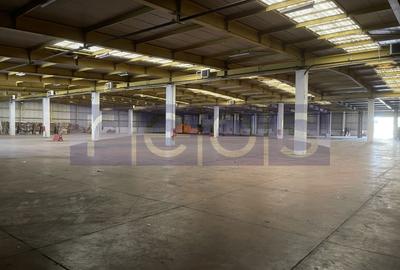 Spațiu industrial, de 19,300 mp, în Odăi - 28