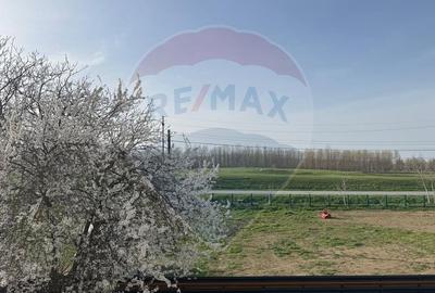 Casă individuală cu 4 camere în Nord - 19