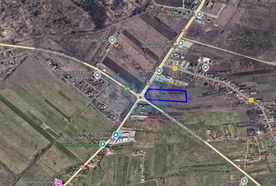 Teren de 15219 mp, în Mărăcineanu - 2