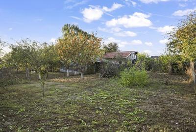 Comision 0% 2 case Vila + Spatiu Comercial + Curte Proprie - 36