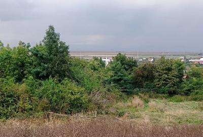 Teren Construcții intravilan de 2300 mp, în Cernatu - 6