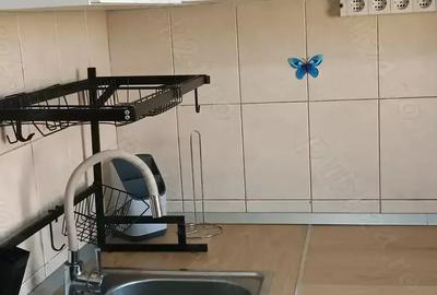 Garsoniera de inchiriat Baia Mare - 3