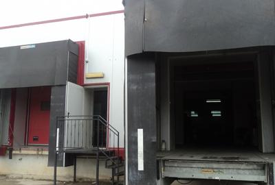 Spațiu industrial, de 527 mp, în Far
