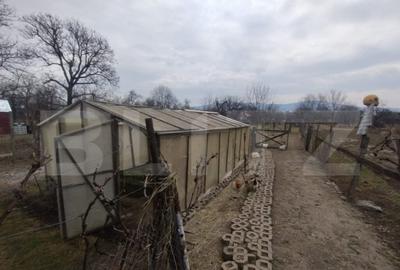 Casă cu 4 camere cu Teren 3000 Mp în Livezile - 1