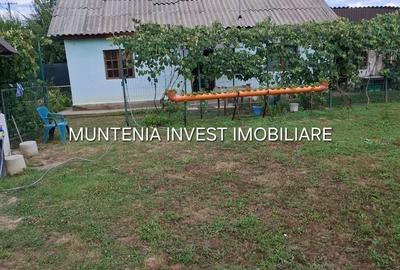 Casă cu 3 camere în Broșteni - 4