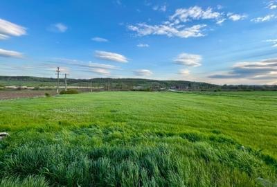 Teren Construcții intravilan de 10900 mp, în Central - 7