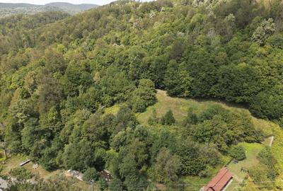 Teren intravilan de 1500 mp pe deal in Moneasa - 8