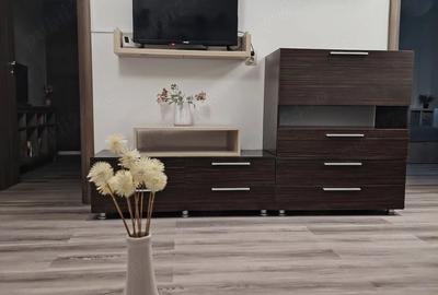 Apartament cu 2 camere decomandat în Brazda lui Novac - 9