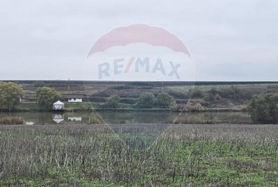 Teren de 129700 mp, în Iepurești - 9