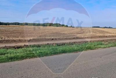 Teren de 21177 mp, în Santăul Mic