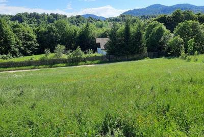 Casa de vacan?a cabana de vanatoare la Soveja, jud. Vrancea - 10