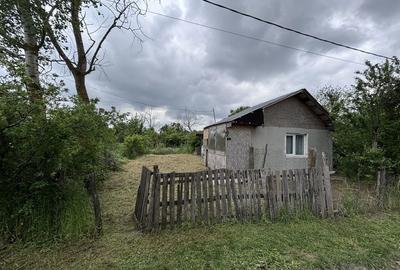 Teren de 2461 mp, în Sârbeni - 8