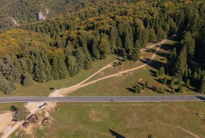 Teren Construcții intravilan de 10440 mp, în Drumul Poienii - 11