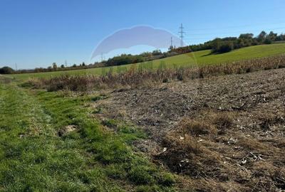 Teren Construcții intravilan de 2240 mp, în Lăpușel - 3