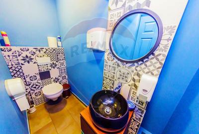 Vanzare spatiu comercial de 500 mp pe Bd. Traian, Baia Mare - 20