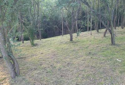 Spațiu comercial, în Malu Mare - 5