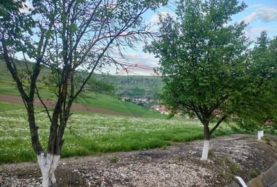 Teren de 1577 mp, în Central - 3