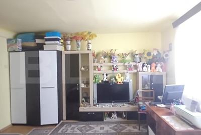 Casa renovabila, 2 camere, zona Cetate - 6