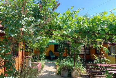 Casă cu 4 camere cu Teren 1592 Mp în Techirghiol - 7