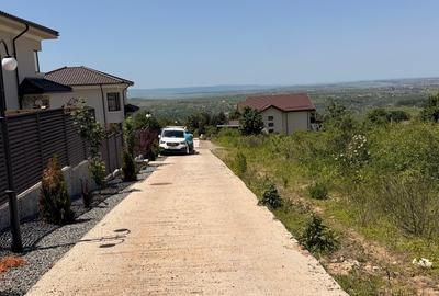 Teren Construcții intravilan de 7000 mp, în Bucium - 8