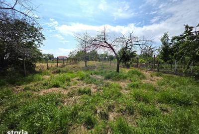 Casă cu 4 camere cu Teren 1254 Mp în Mărăcineni - 7