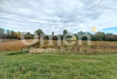 Teren agricol extravilan de 700 mp, în Cătălina - 2