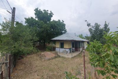 Teren Construcții intravilan de 1100 mp, în Podu Ilfovățului - 3