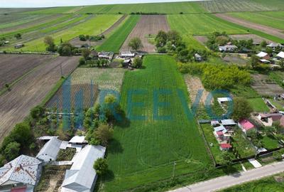 Teren de vanzare, Sat Valea Mare, Com. Ro?iori, Bacau - 4