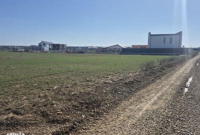 Spațiu comercial, în Balotești - 5