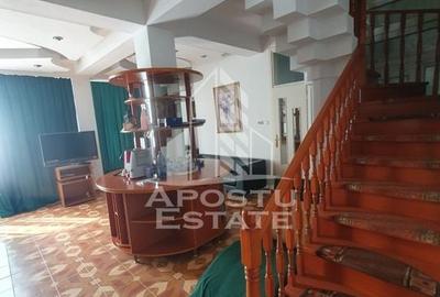 Casa individuala pretabila pentru pensiune, Giarmata - 5