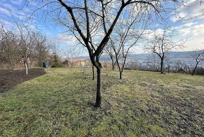 Casă cu 2 camere cu Teren 1150 Mp în Platou - 1