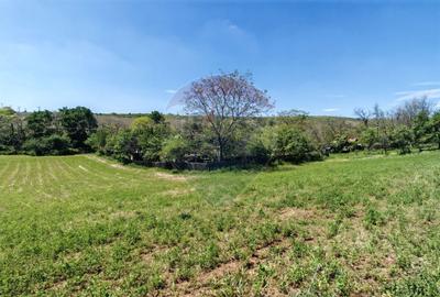 Teren Construcții intravilan de 3864 mp, în Central - 5