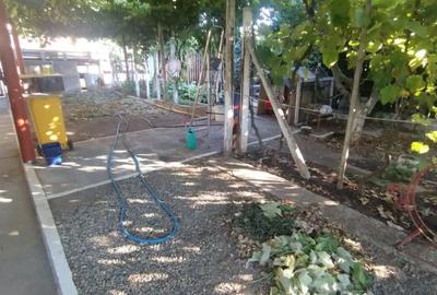 Casă cu 2 camere cu Teren 770 Mp în Palazu Mare - 3