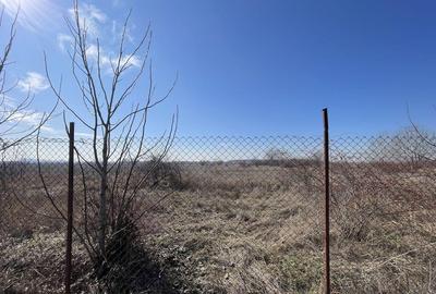 GIULESTI | Teren intravilan PUZ V3a2 3 loturi: 5500 + 180... - 4